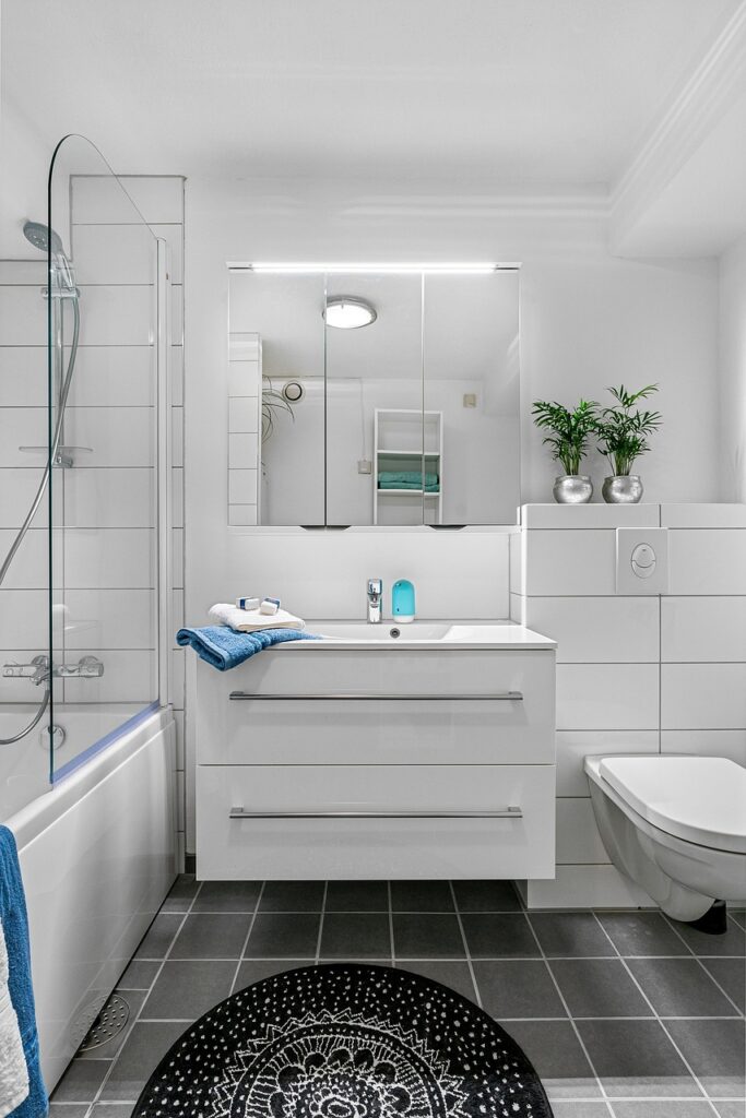 Leak detection service carried out in a bathroom in George